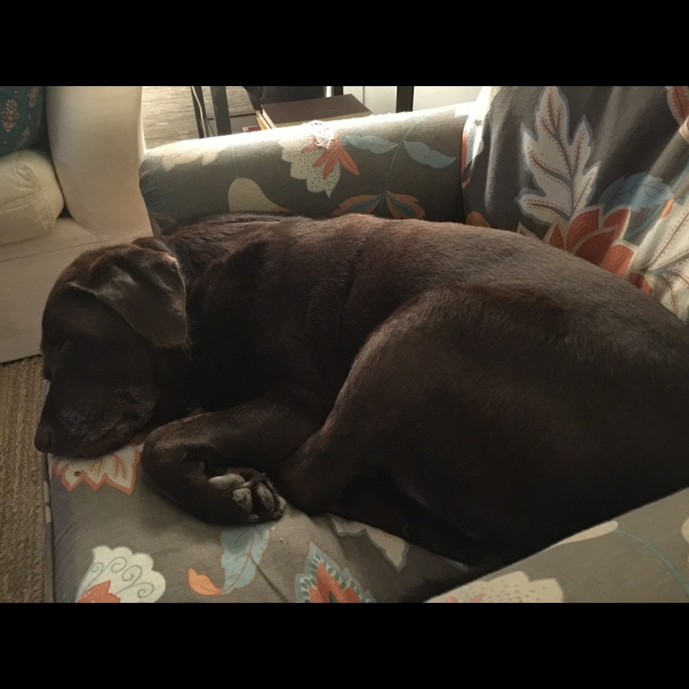 Meet your Posher, Joanne